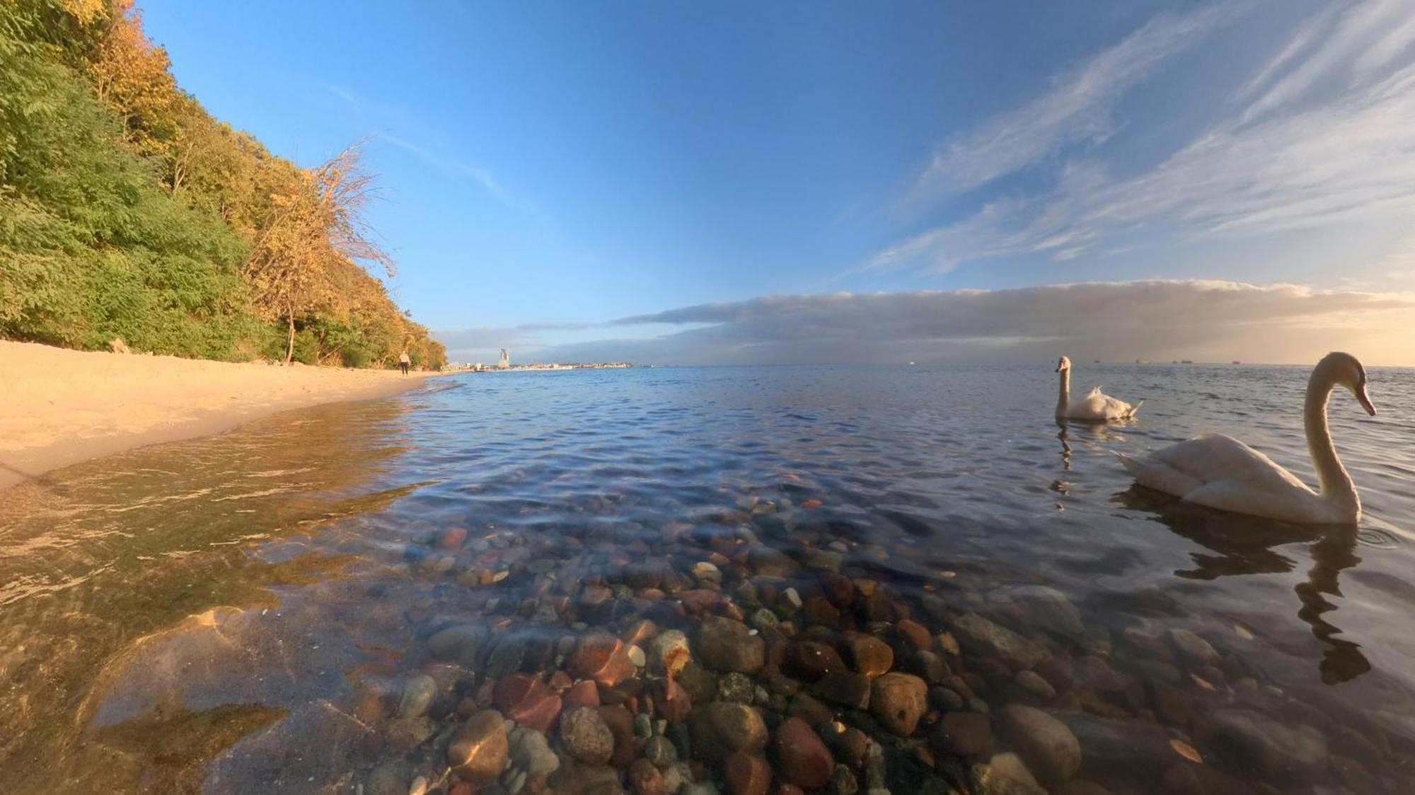 Blekitny Zagiel Aparthotel Gdynia Bagian luar foto